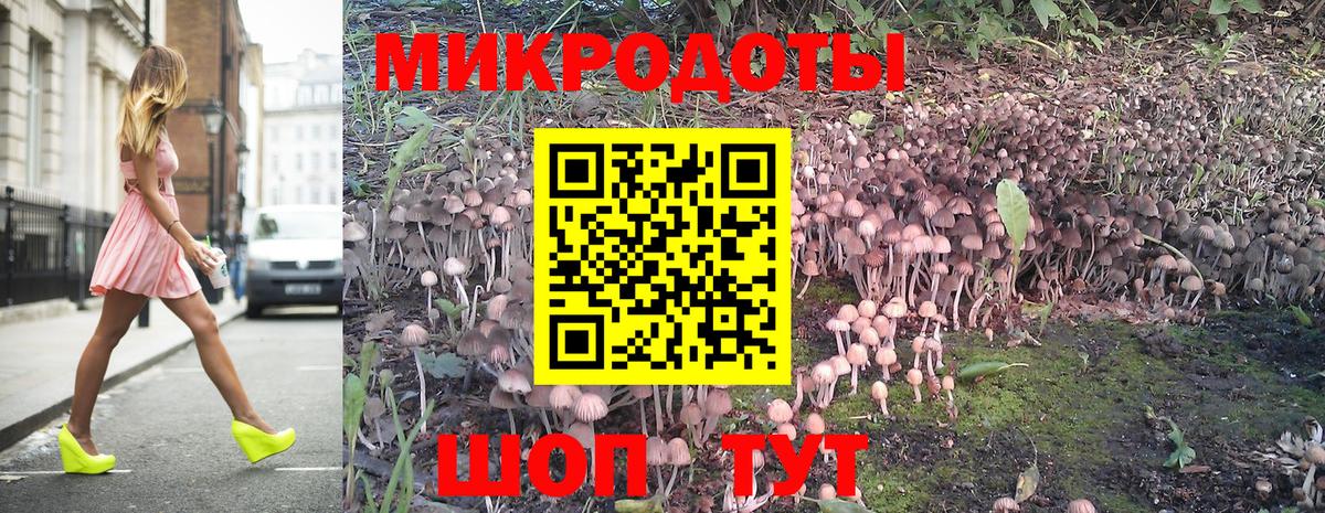 Галлюциногенные грибы прущие грибы Куйбышев